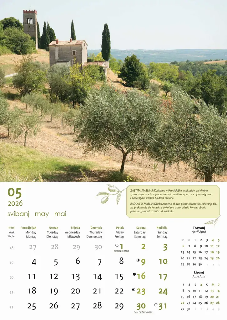 Kalendar zidni Masline