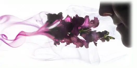 Mirisno ulje za difuzor AD1  Fine leather ( Antilop i smreka ) 100ml