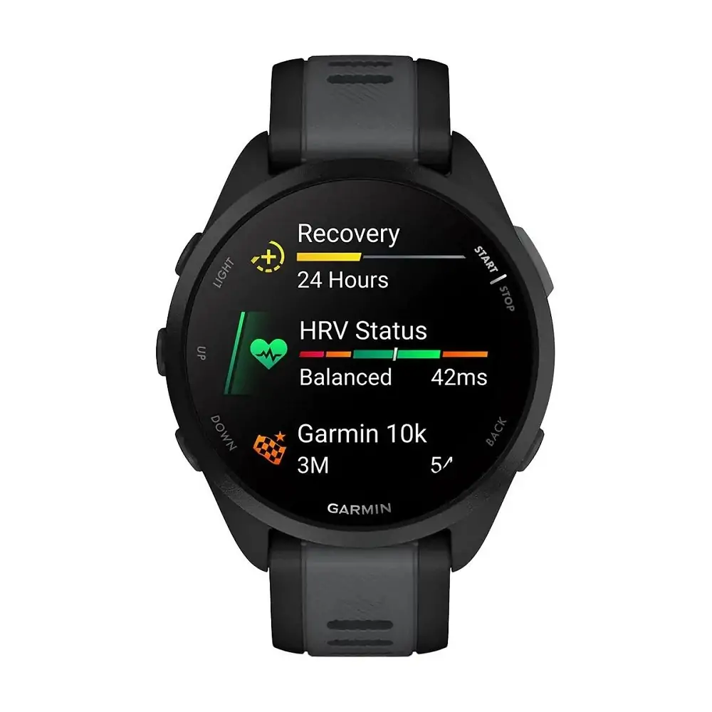 Smart watch GARMIN Forerunner 165 BlackSlate - 010-02863-20
