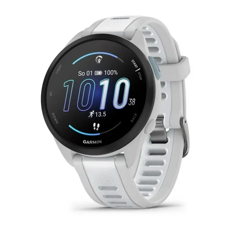 Smart watch GARMIN Forerunner 165 MistGrey Whitestone - 010-02863-21