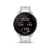 Smart watch GARMIN Forerunner 165 MistGrey Whitestone - 010-02863-21