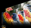 Projektor HISENSE C3 Smart mini 4K