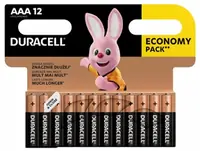 Baterija DURACELL Basic AAA 12/1 Baterija DURACELL Basic AAA 12/1