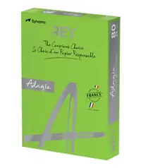 Papir fotokopirni color A4 80gr Rey Adagio intensive zeleni 52 500/1 Papir fotokopirni color A4 80gr Rey Adagio intensive zeleni 52 500/1