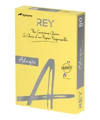 Papir fotokopirni color A4 80gr Rey Adagio intensive limun žuti 58 500/1 Papir fotokopirni color A4 80gr Rey Adagio intensive limun žuti 58 500/1